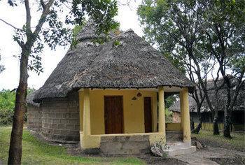 Nalepo Mara Lodge 마사이마라 외부 사진